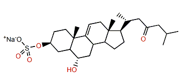24,25-Dihydromarthasteron 3-sulfate